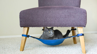 Illustration for article titled Under Chair Cat Hammock Keeps Fluffy off the Damn Furniture